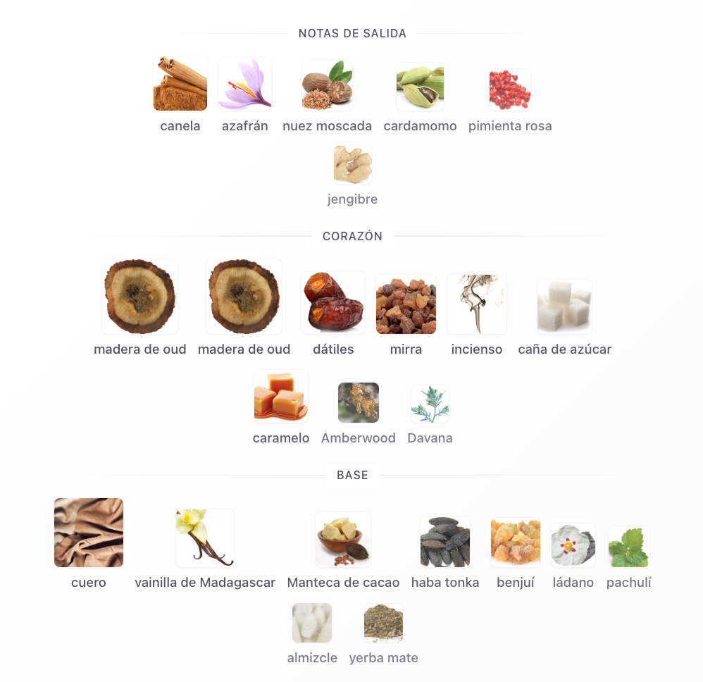 COCOA MORADO - FRENCH AVENUE