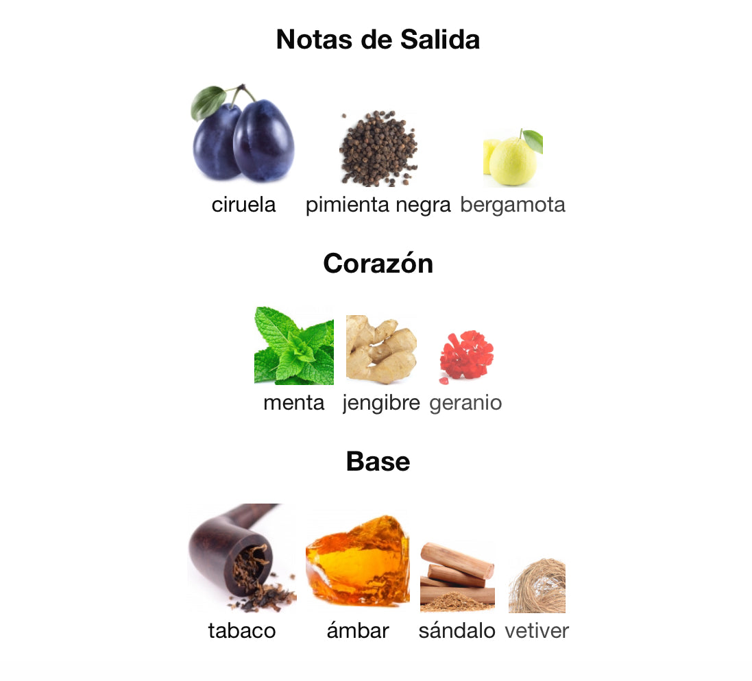 1981 LOS ANGELES MEN - GUESS