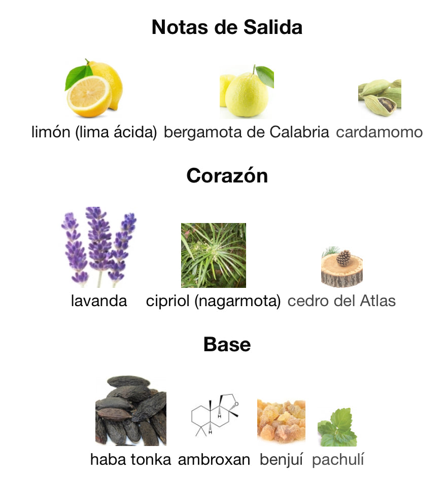 ACQUA ESSENZIALE BLUE - SALVATORE FERRAGAMO