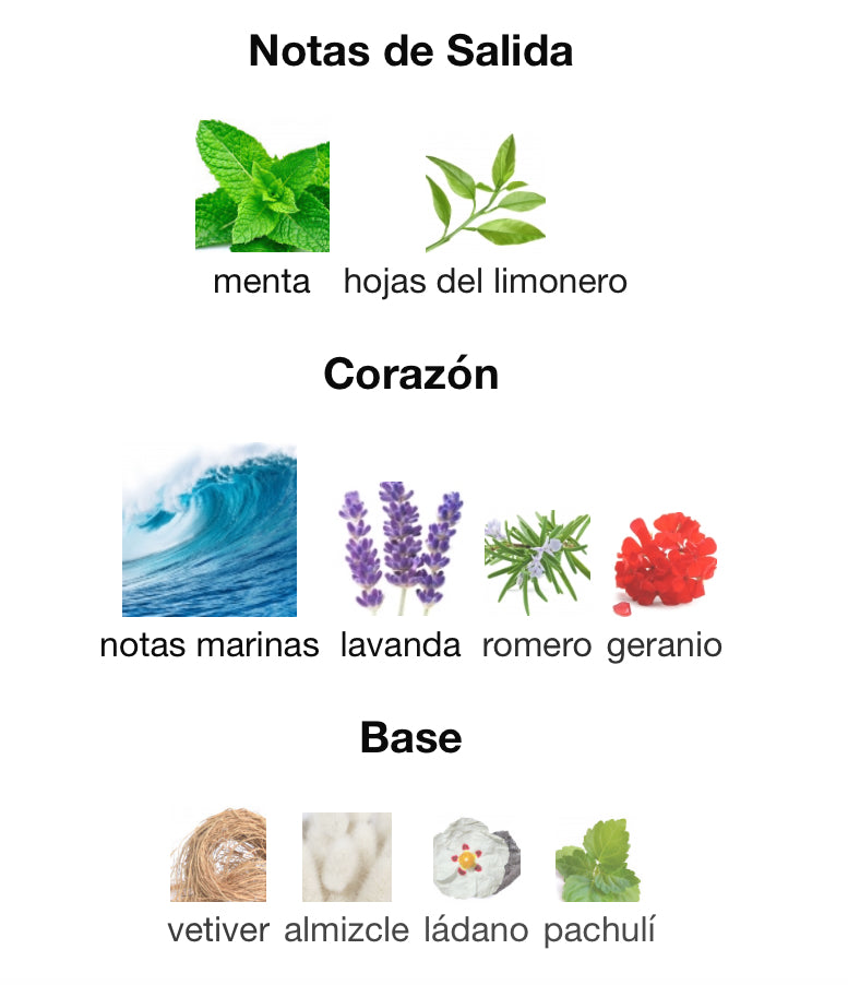 ACQUA ESSENZIALE - SALVATORE FERRAGAMO