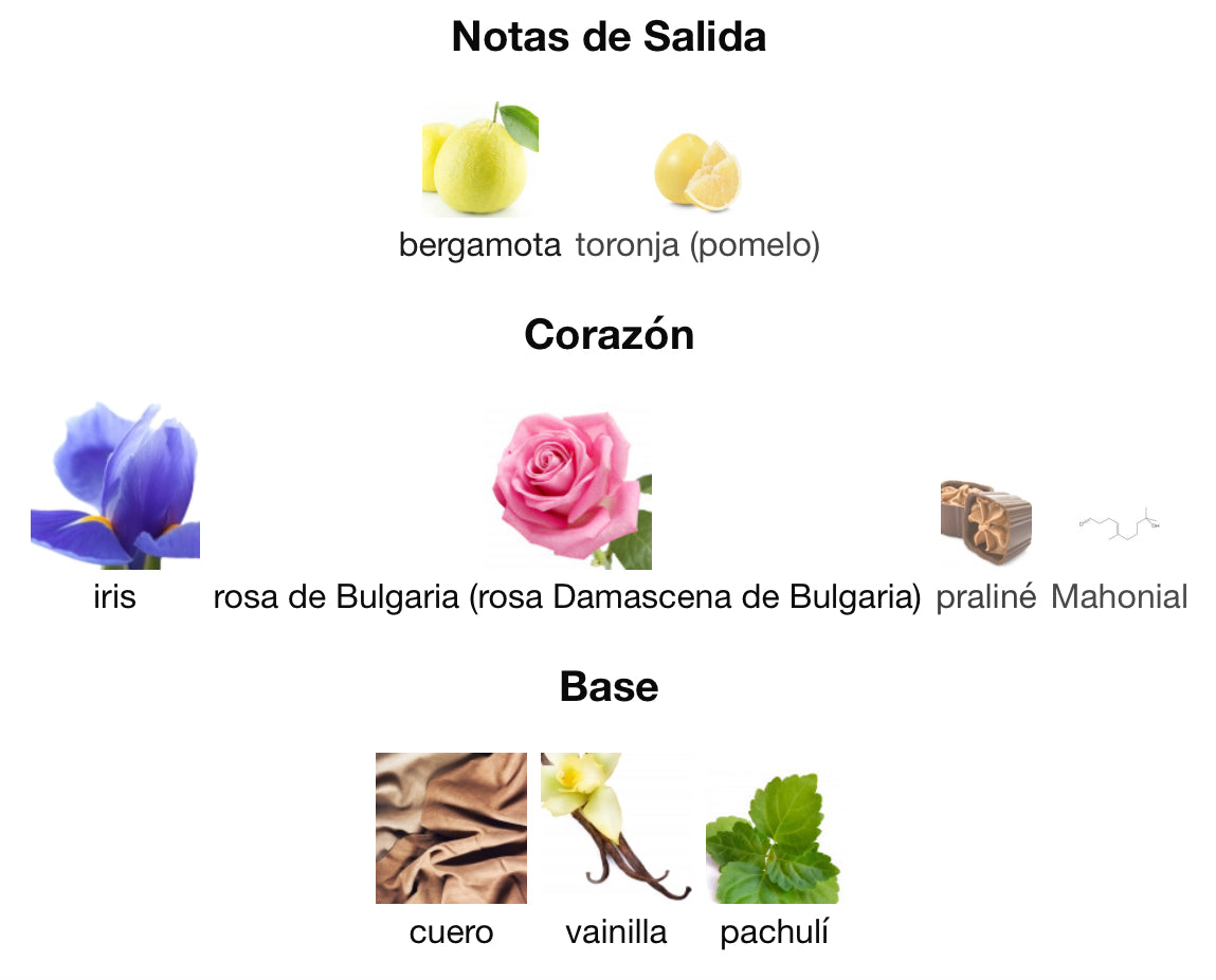 VALENTINO DONNA - VALENTINO