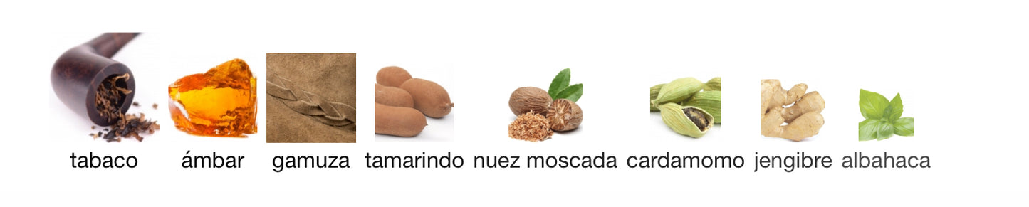 360 BLACK - PERRY ELLIS