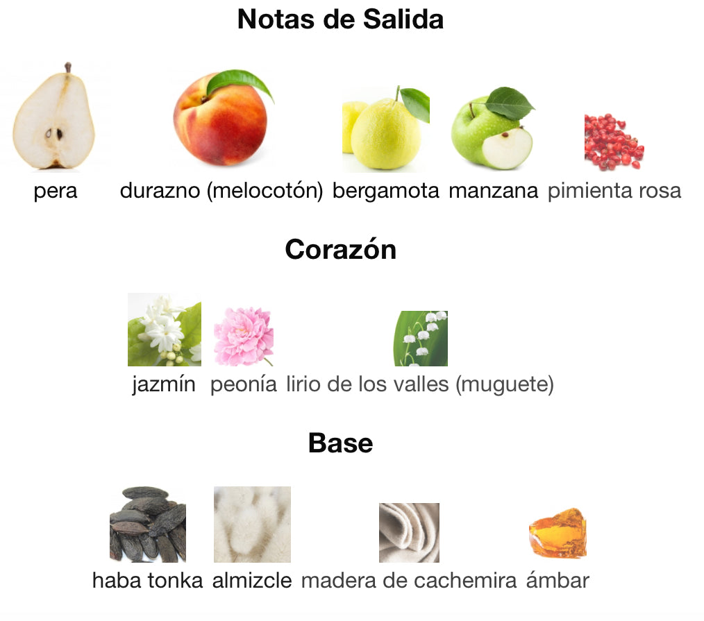 360 CORAL - PERRY ELLIS