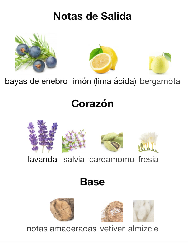 360 FOR MEN - PERRY ELLIS