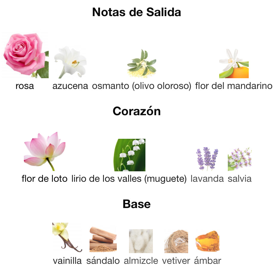 360 PINK - PERRY ELLIS