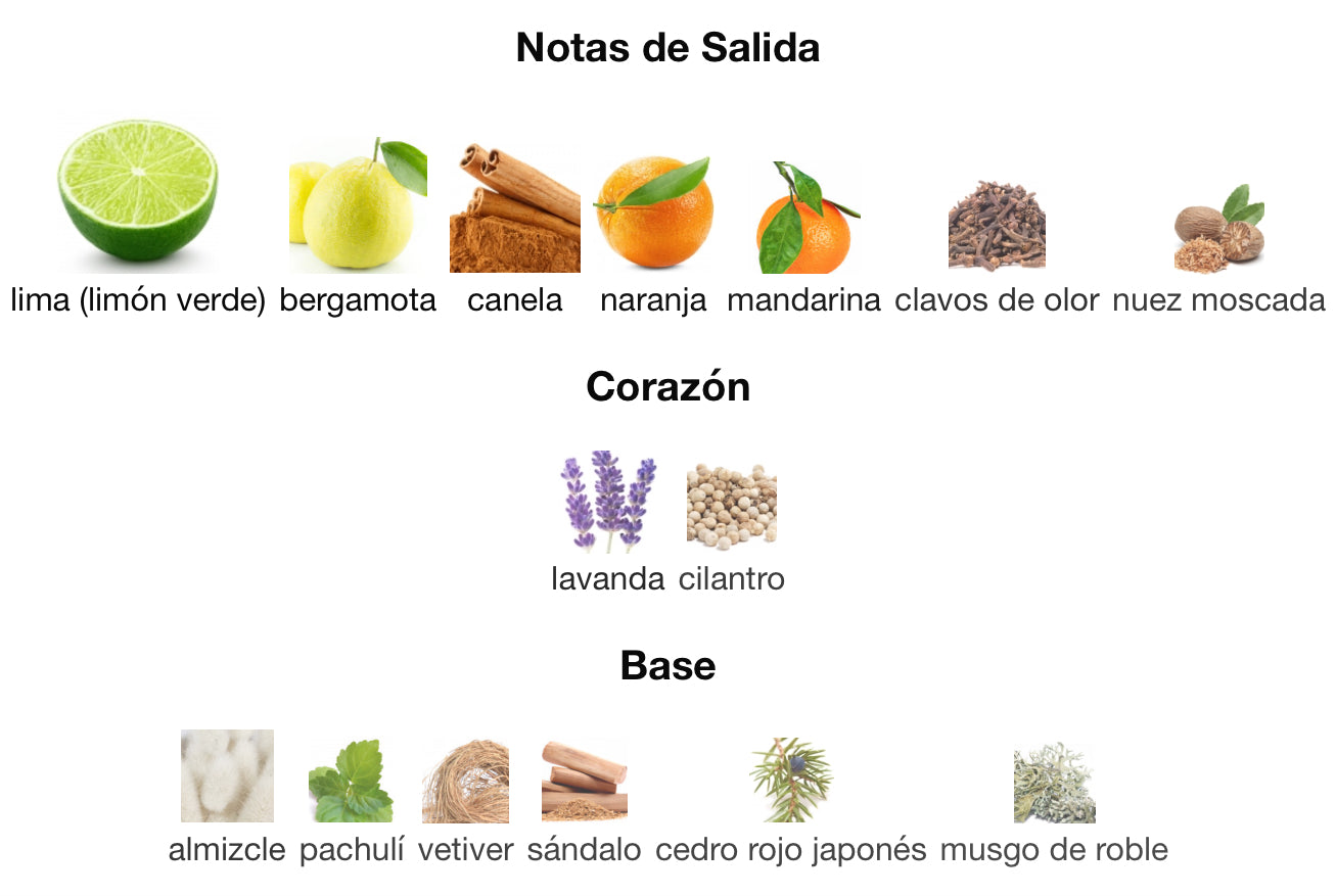 360 RED - PERRY ELLIS