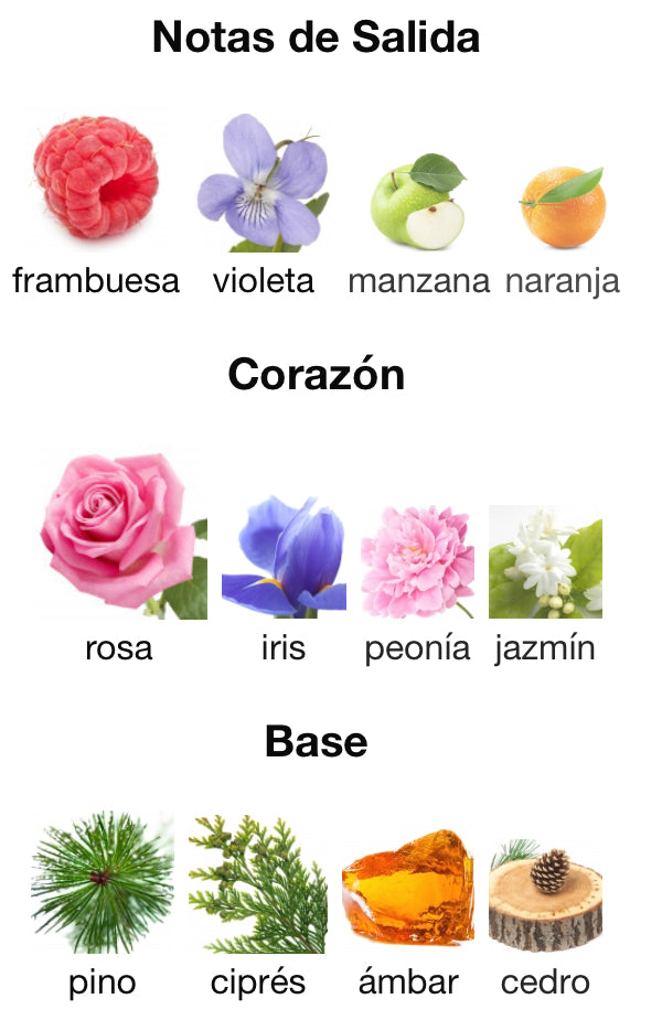 9PM POUR FEMME - AFNAN