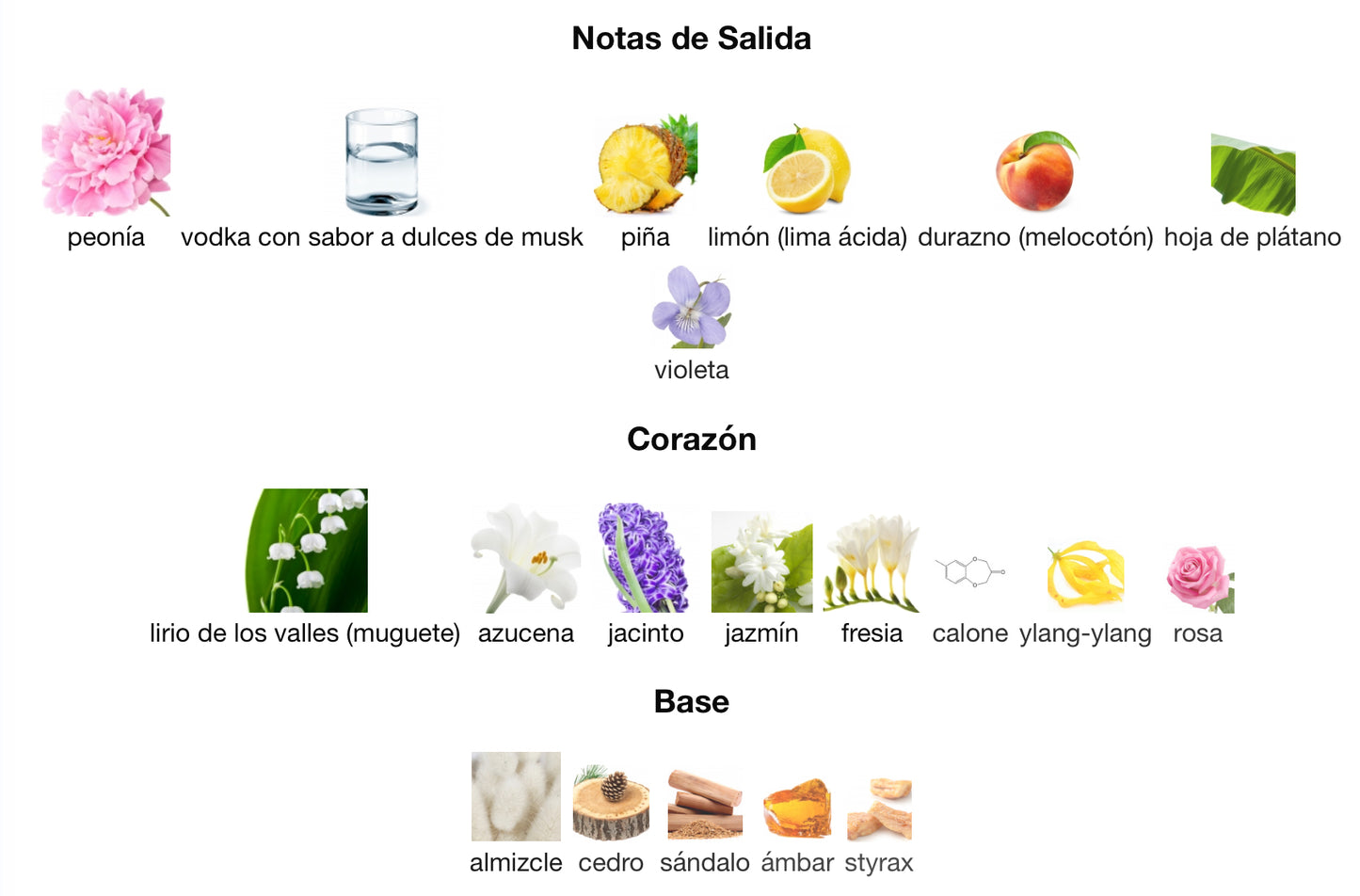 ACQUA DI GIO - GIORGIO ARMANI