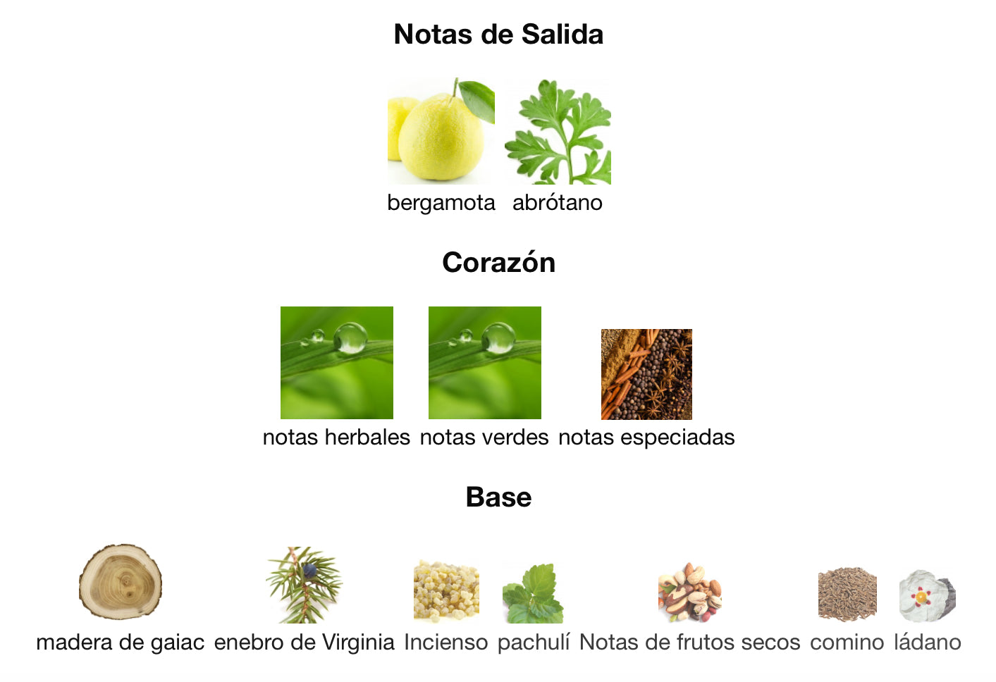 AL NOBLE SAFEER - LATTAFA