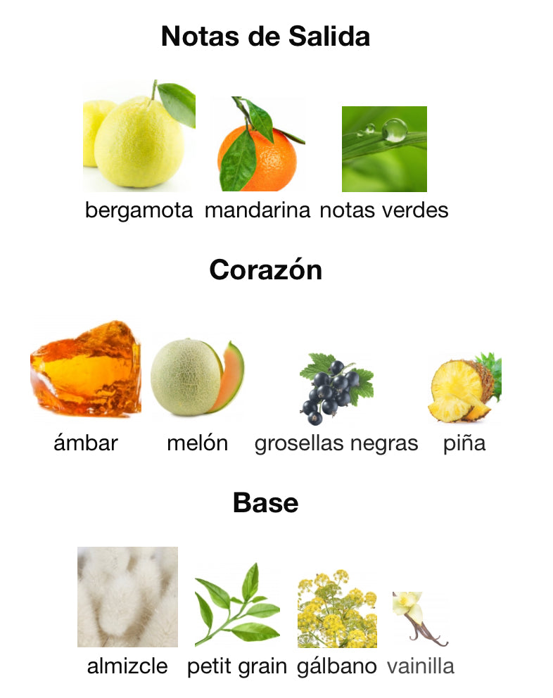 AMBER OUD AQUA DUBAI - AL HARAMAIN