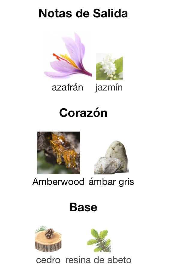 AMBER ROUGE - ORIENTICA