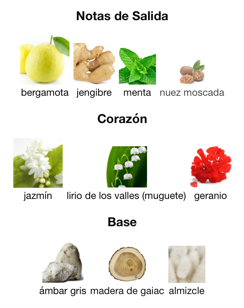 AZURE FANTASY - ORIENTICA