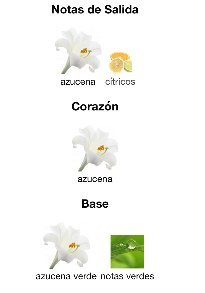 BAISER VOLÉ - CARTIER