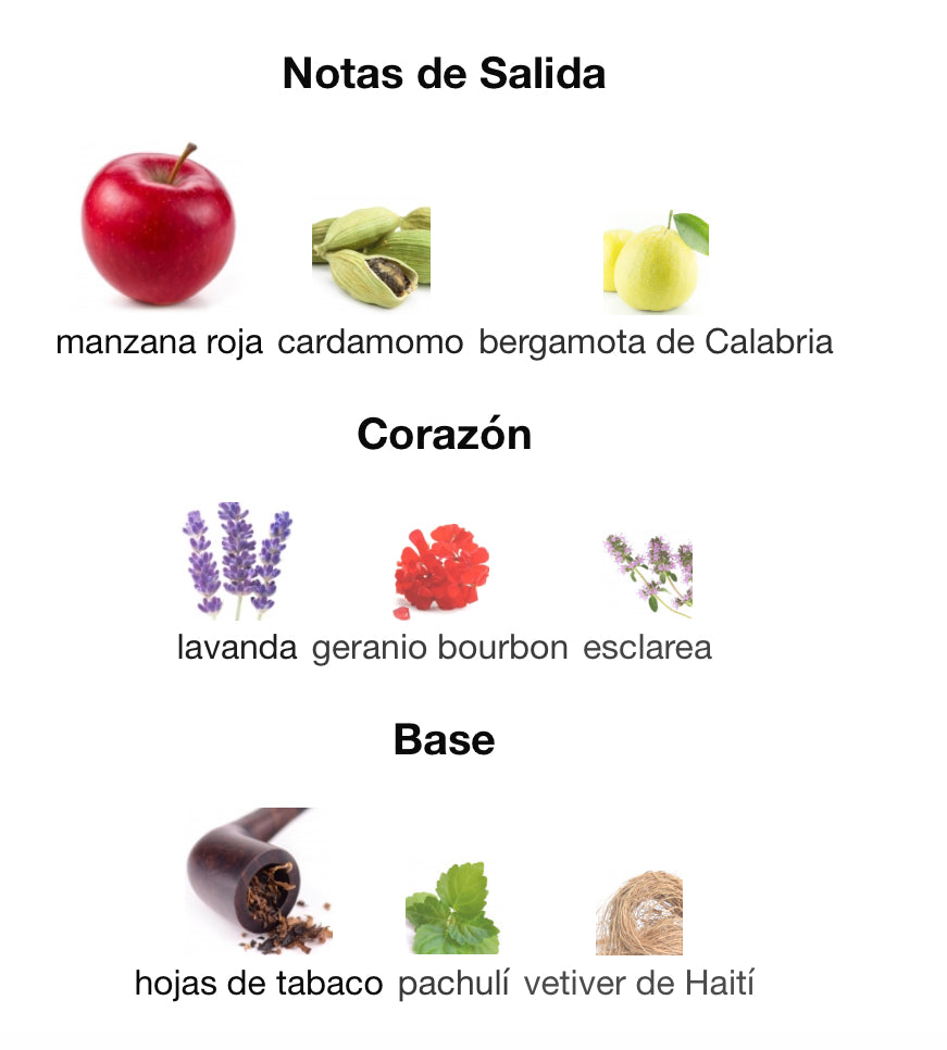 BORN IN ROMA CORAL FANTASY - VALENTINO