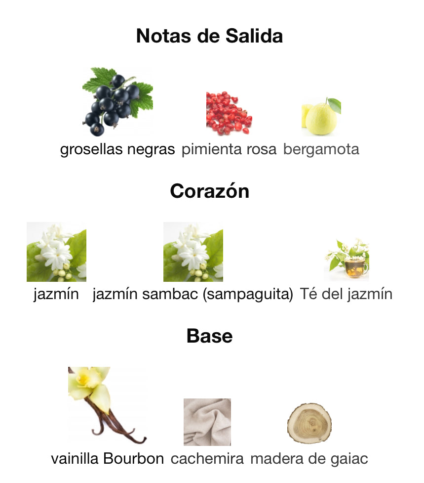 BORN IN ROMA DONNA - VALENTINO