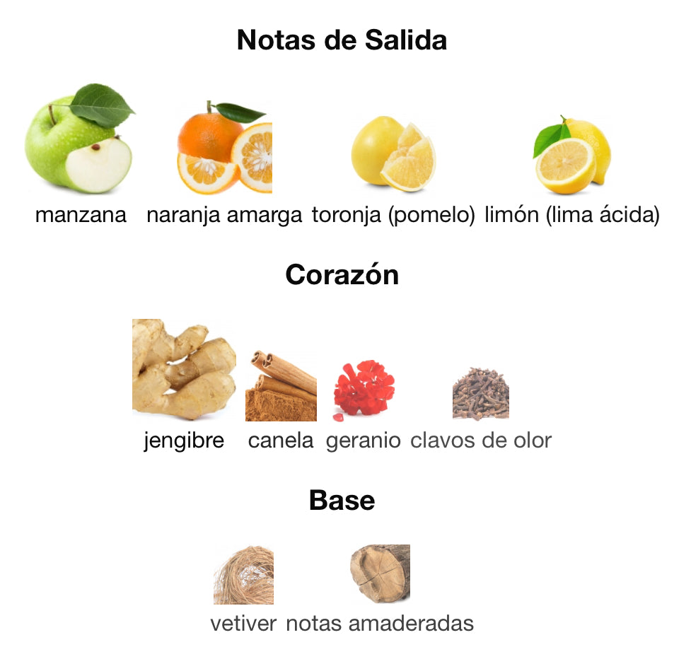 BOTTLED TONIC - HUGO BOSS