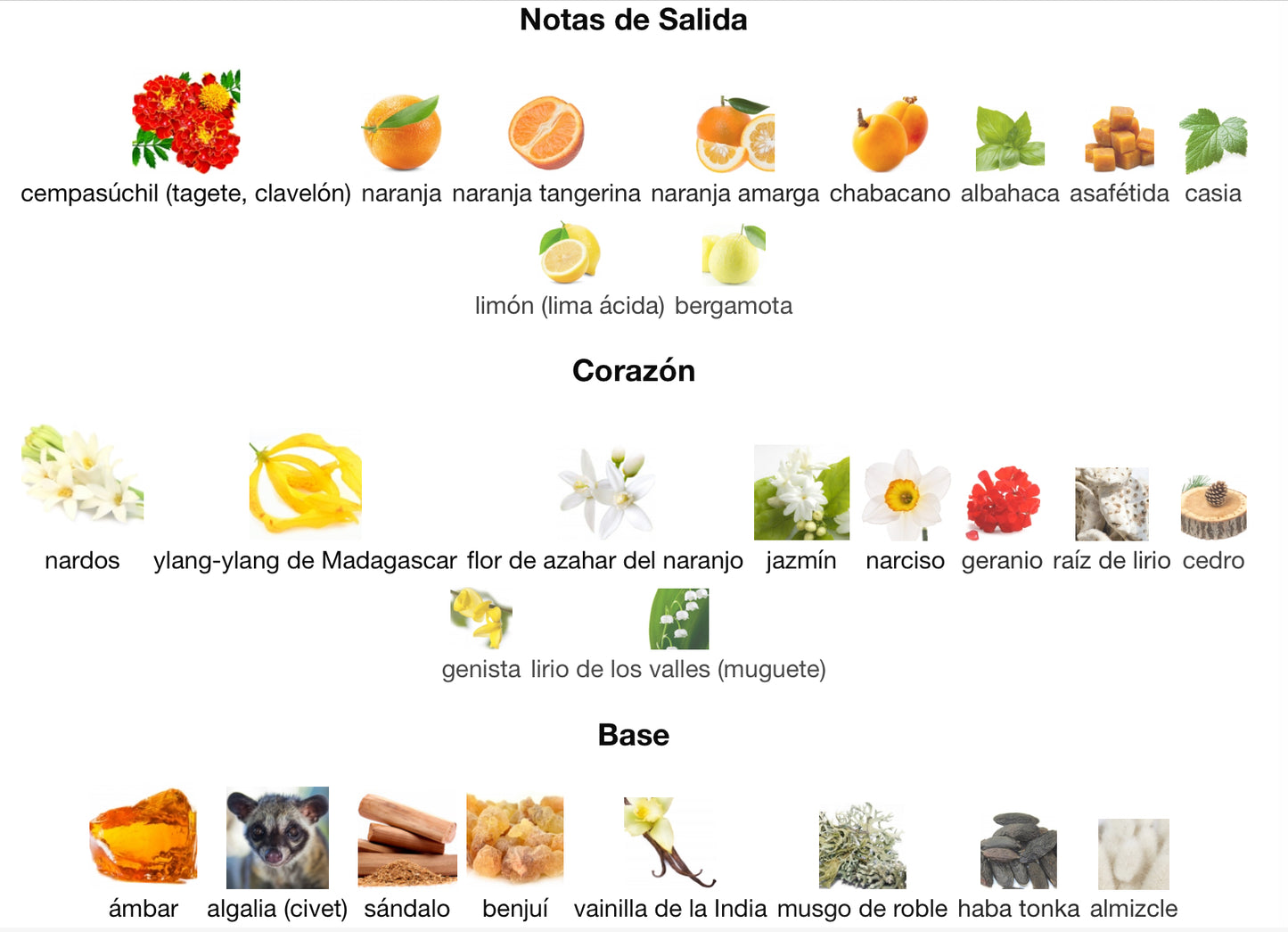 BOUCHERON - BOUCHERON