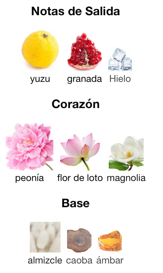 BRIGHT CRYSTAL - VERSACE