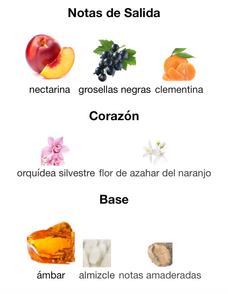 CAN CAN - PARIS HILTON