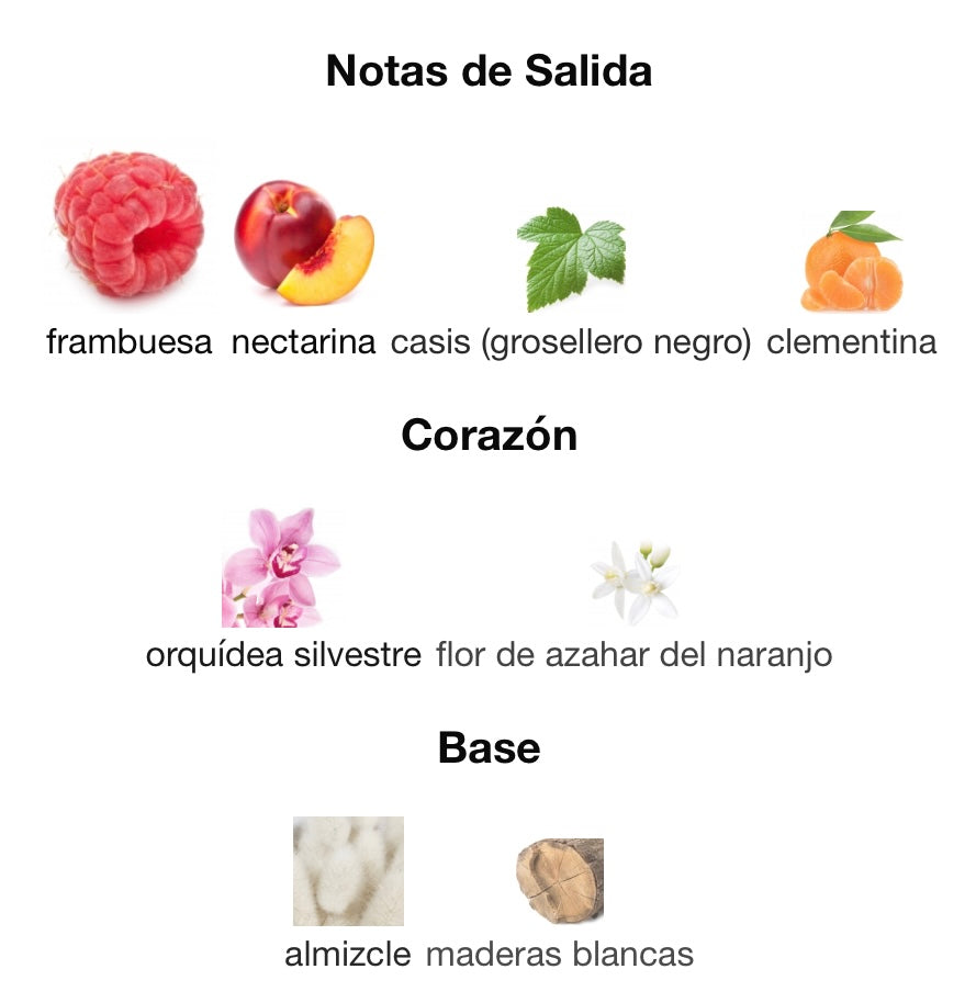 CAN CAN BURLESQUE - PARIS HILTON