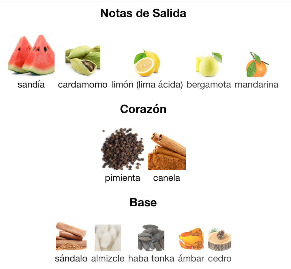 CHIC FOR MEN - CAROLINA HERRERA