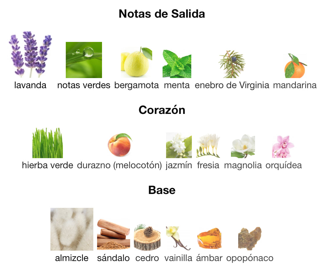 CK BE - CALVIN KLEIN