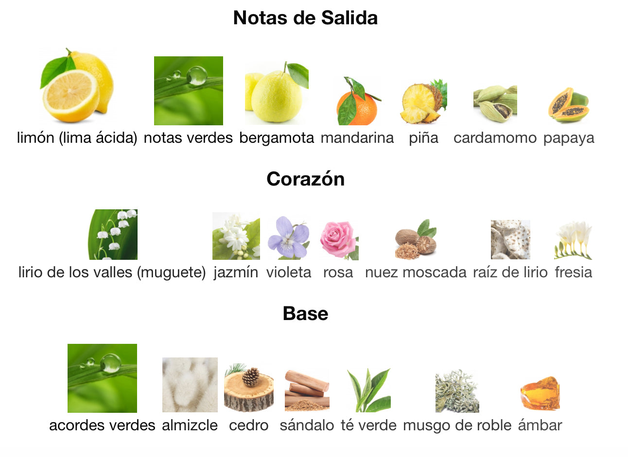 CK ONE - CALVIN KLEIN