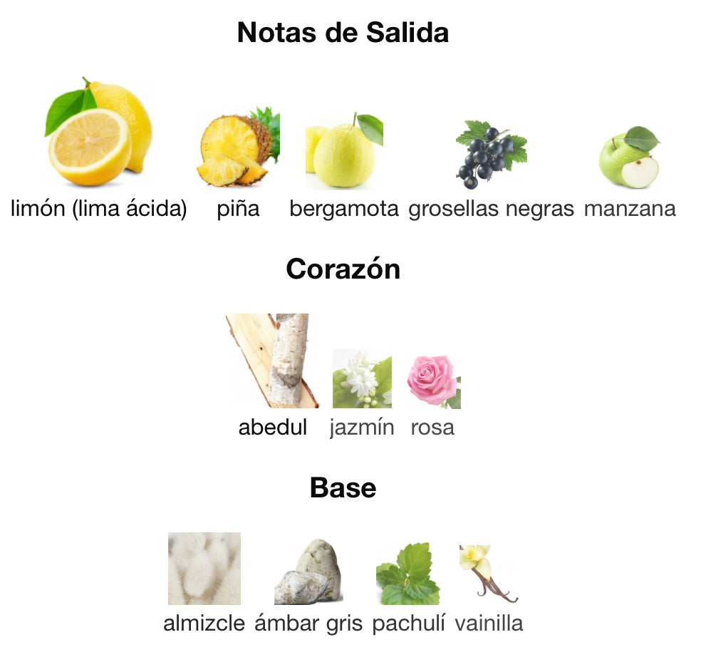 CLUB DE NUIT INTENSE - ARMAF