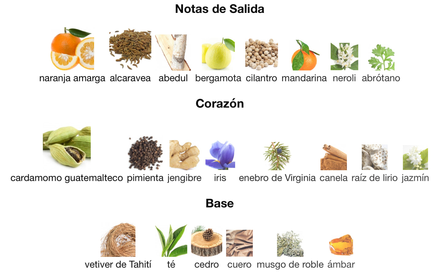 DECLARATION - CARTIER