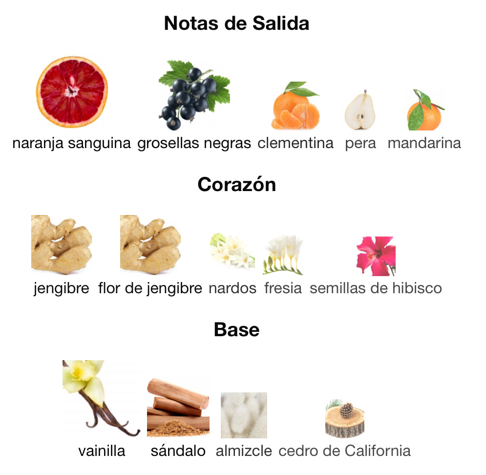 DEEP RED - HUGO BOSS