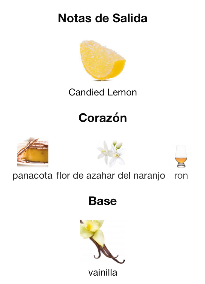 DEVOTION - DOLCE & GABBANA