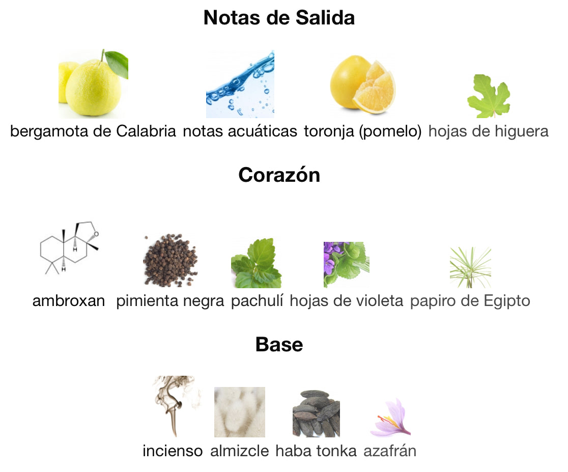 DYLAN BLUE - VERSACE