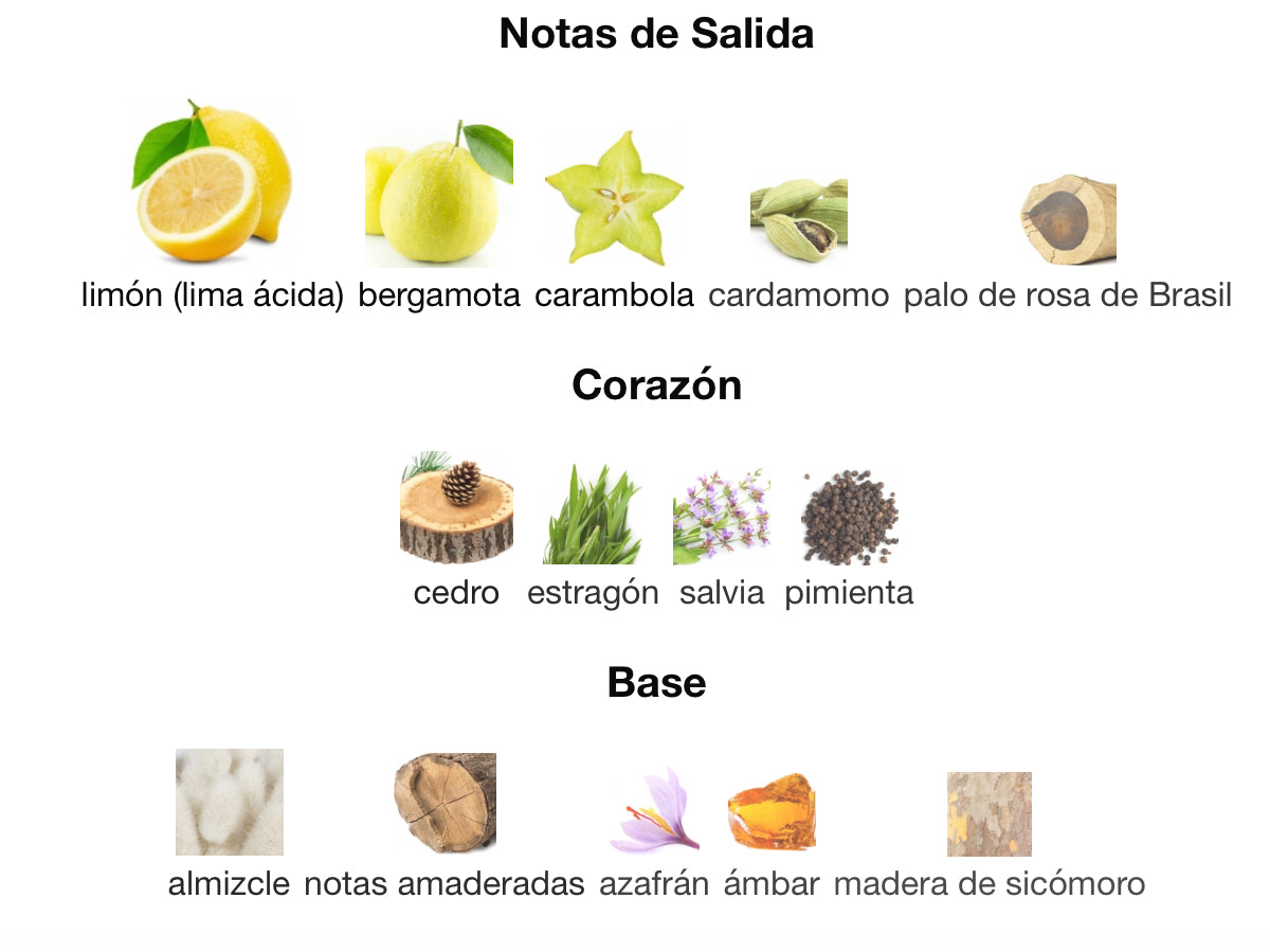 EAU FRAICHE - VERSACE