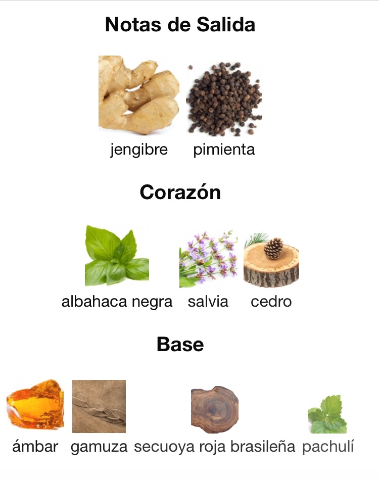 EUPHORIA MEN - CALVIN KLEIN