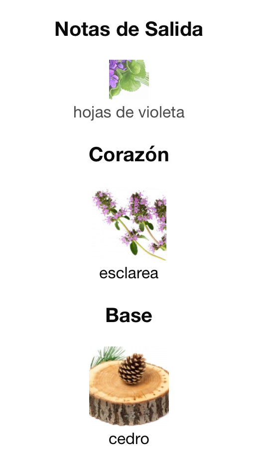 EXPLORER PLATINUM - MONTBLANC