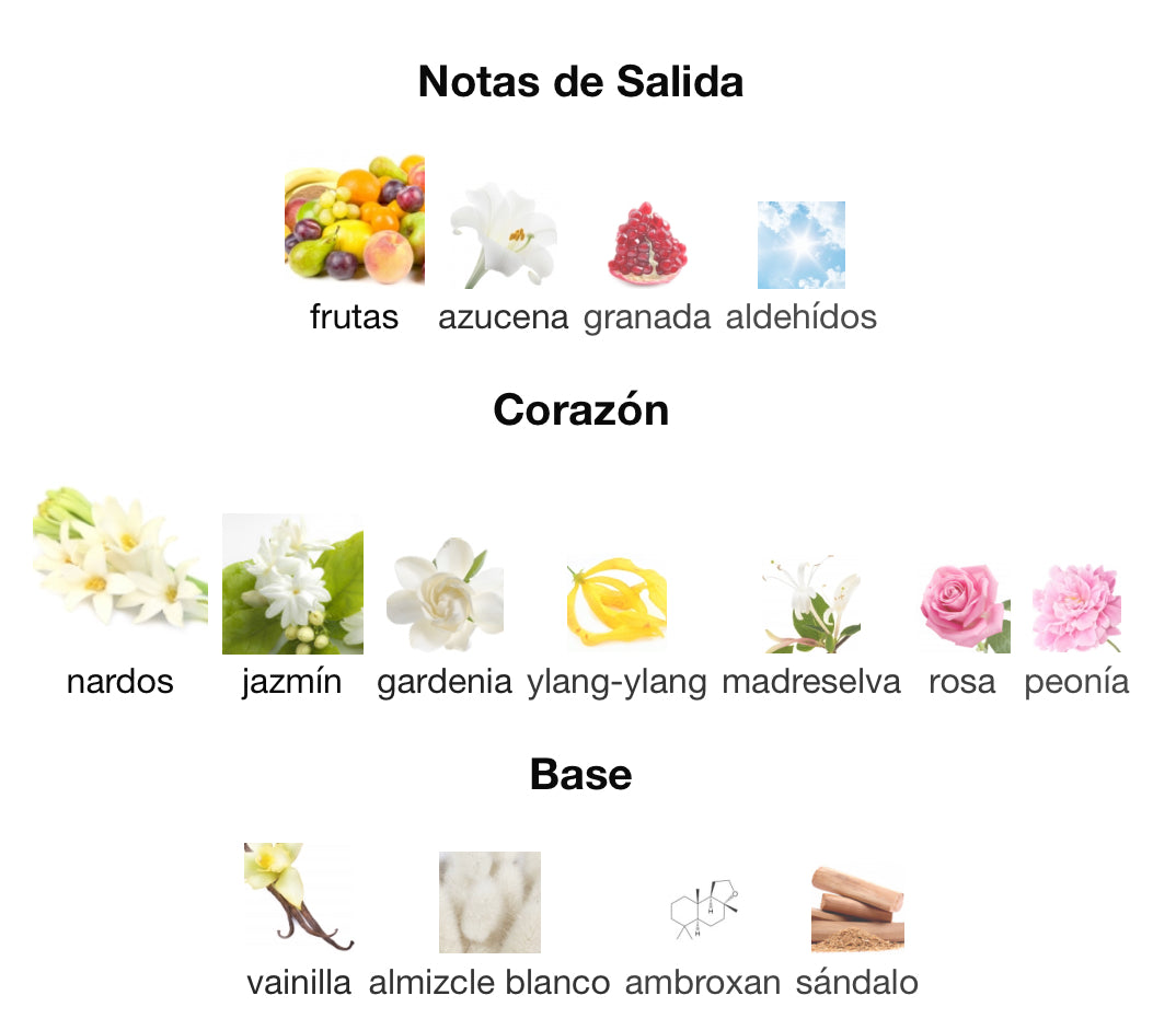 FHAKAR ROSE - LATTAFA