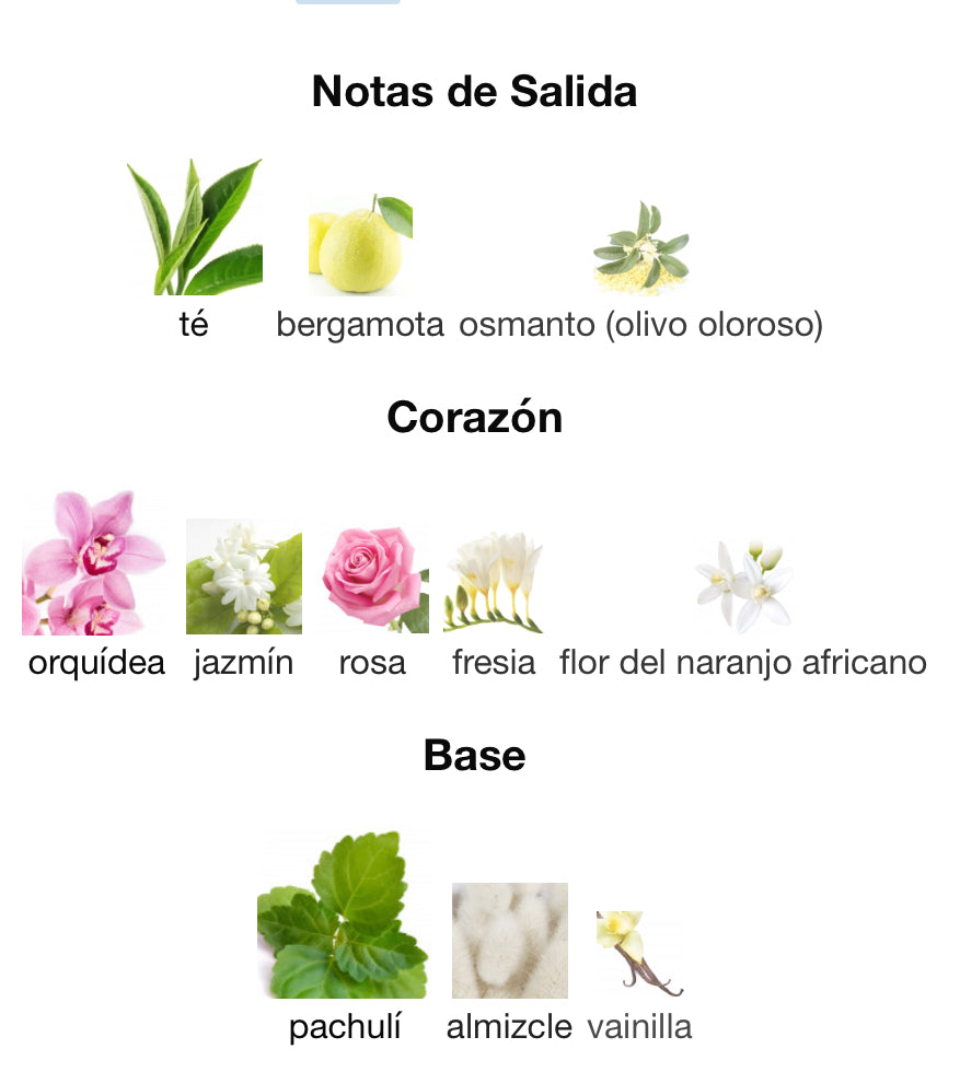 FLOWERBOMB - VIKTOR & ROLF