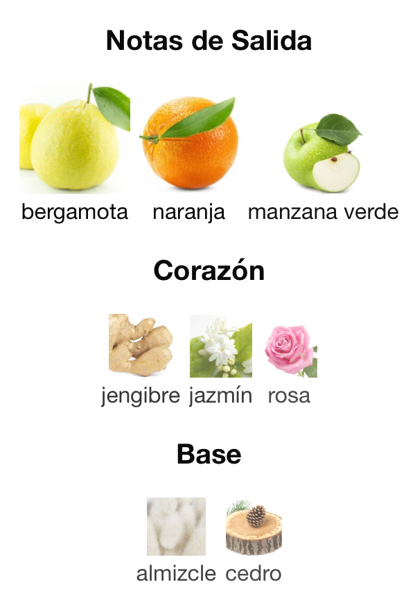 GOTAS DE COLOR - ÁGATHA RUIZ DE LA PRADA