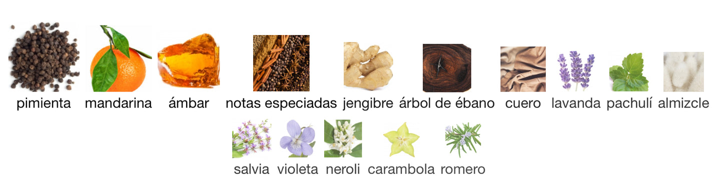 GUESS BY MARCIANO - GUESS