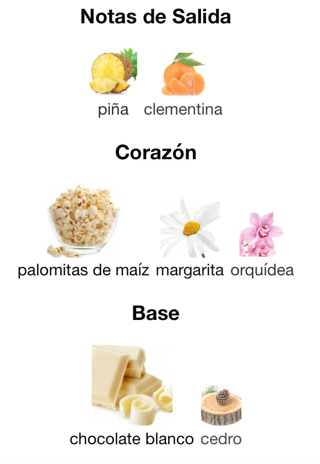 HAPPY MOMENTS - TOUS