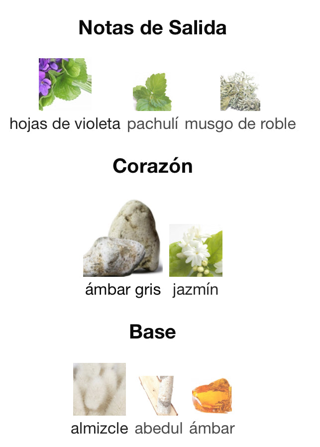 HIGHNESS VII - AFNAN