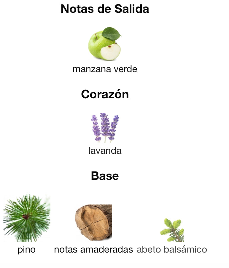 HUGO MAN - HUGO BOSS