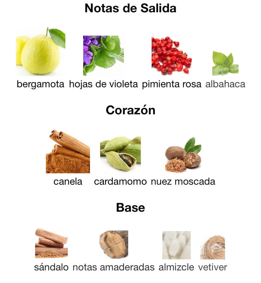 IN MOTION - HUGO BOSS