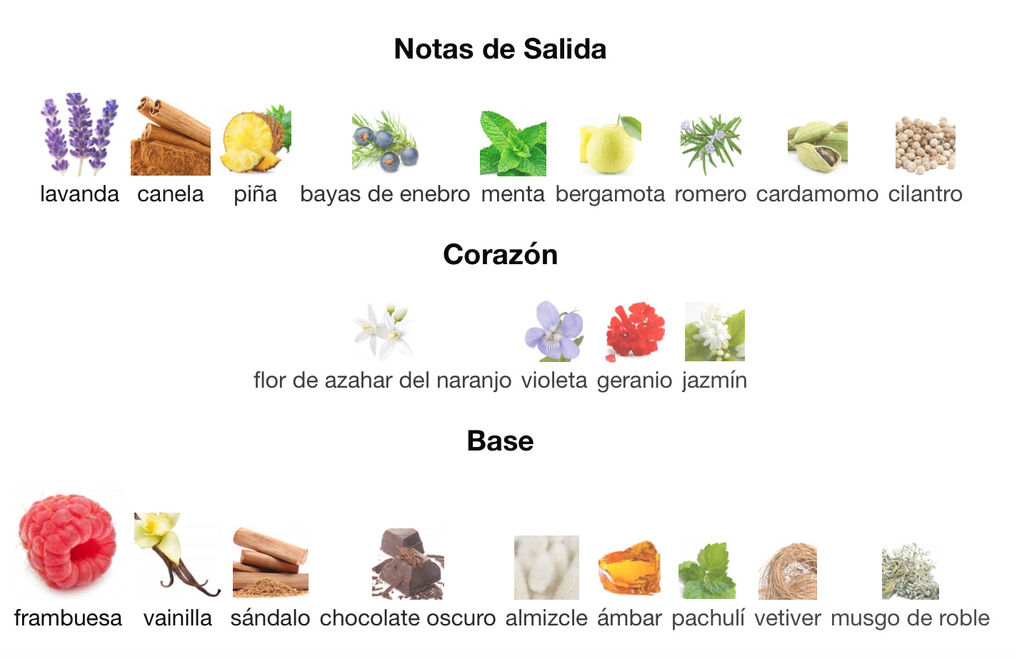 INDIVIDUEL - MONTBLANC