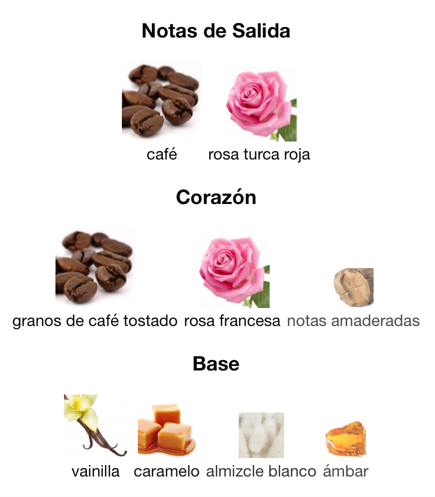 INTENSE CAFE - MONTALE