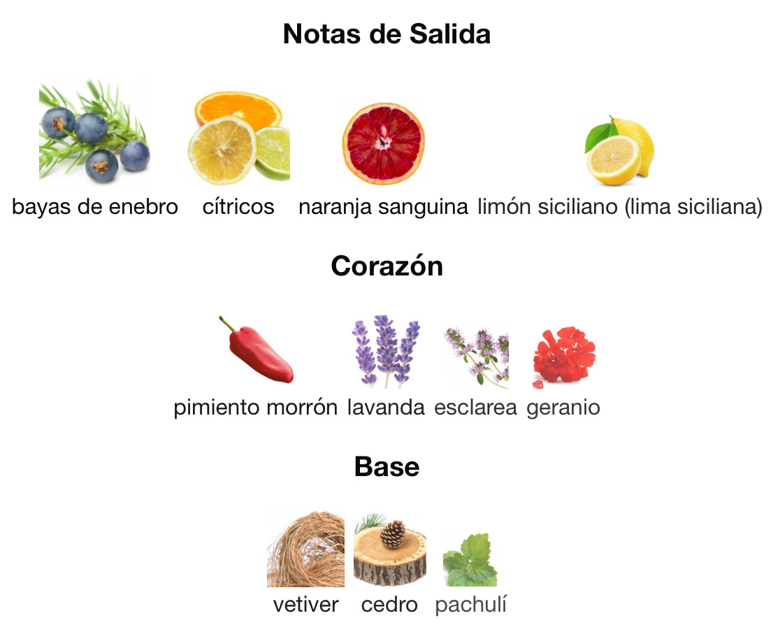 KING - DOLCE & GABANNA EDT