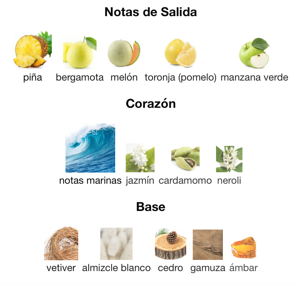 KING OF SEDUCTION - ANTONIO BANDERAS