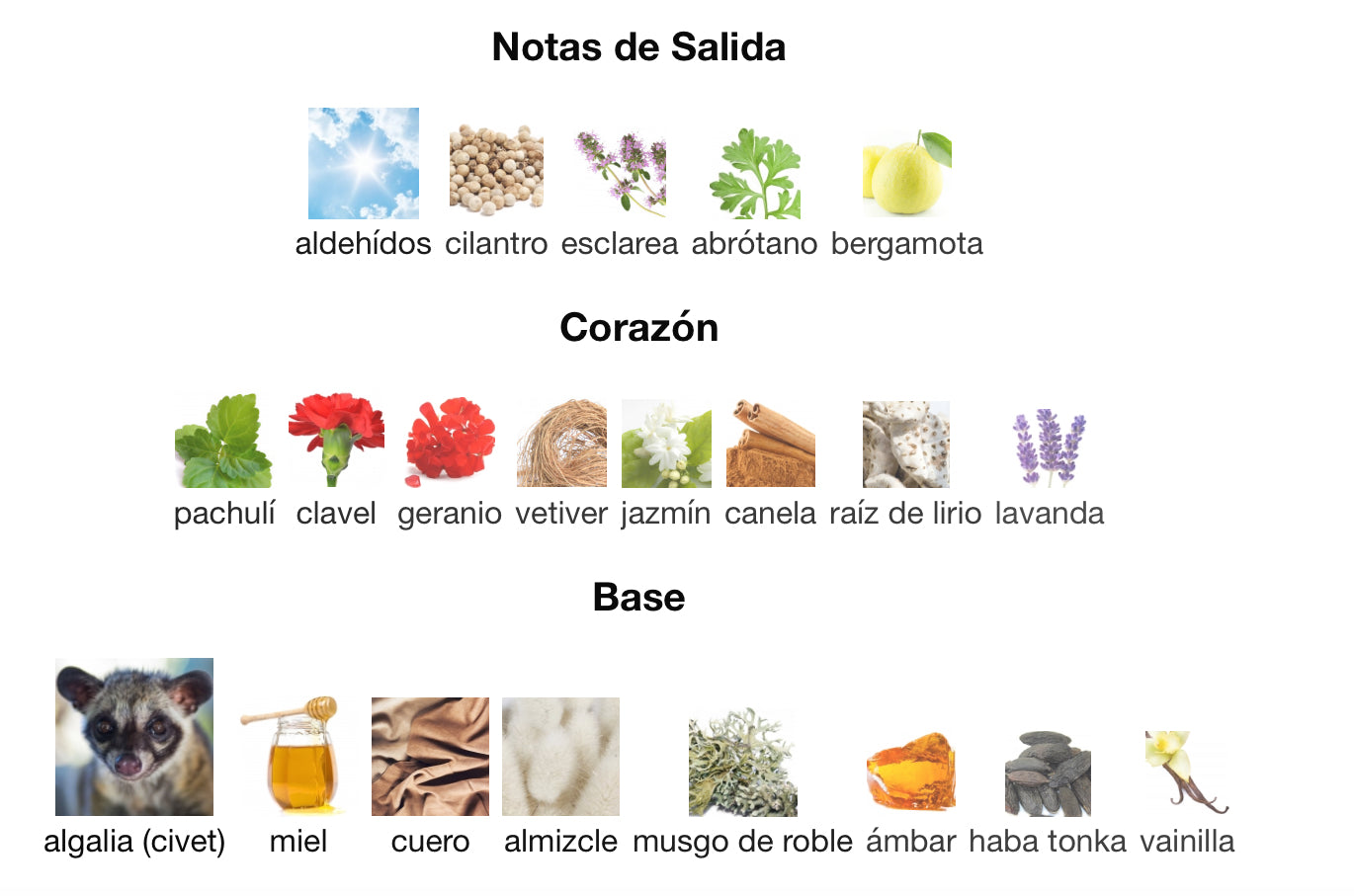 KOUROS - YVES SAINT LAURENT