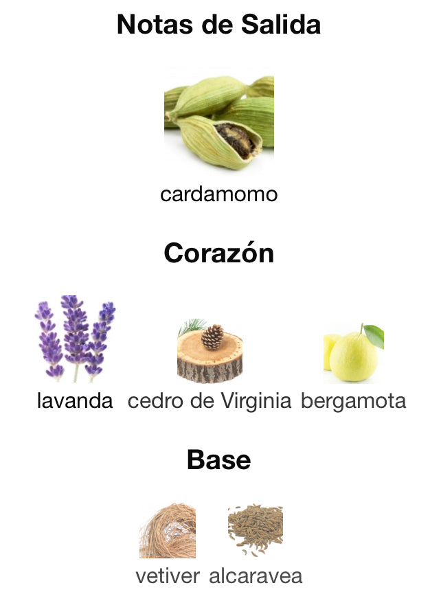 LA NIUT DE I’HOMME - YVES SAINT LAURENT