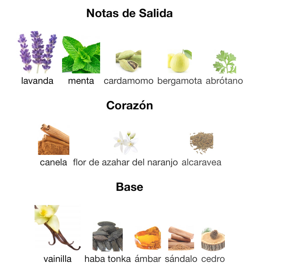 LE MALE - JEAN PAUL GAULTIER